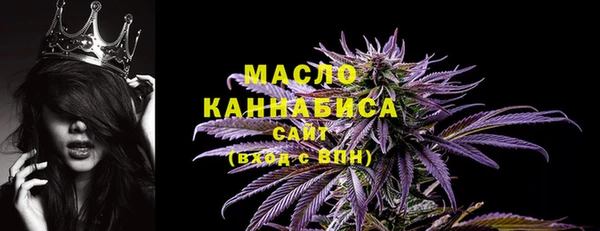 СК Горняк