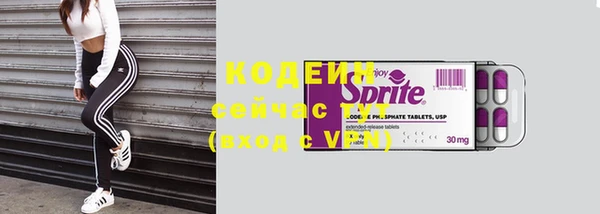 СК Горняк