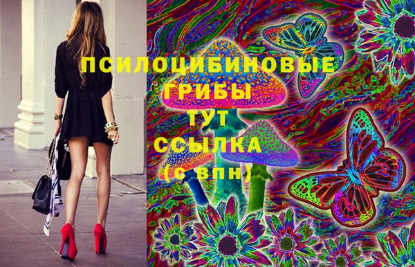меф Вяземский