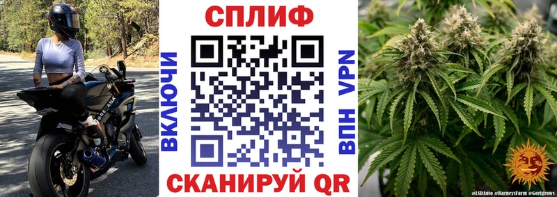 кракен   Саратов  Шишки марихуана сатива 